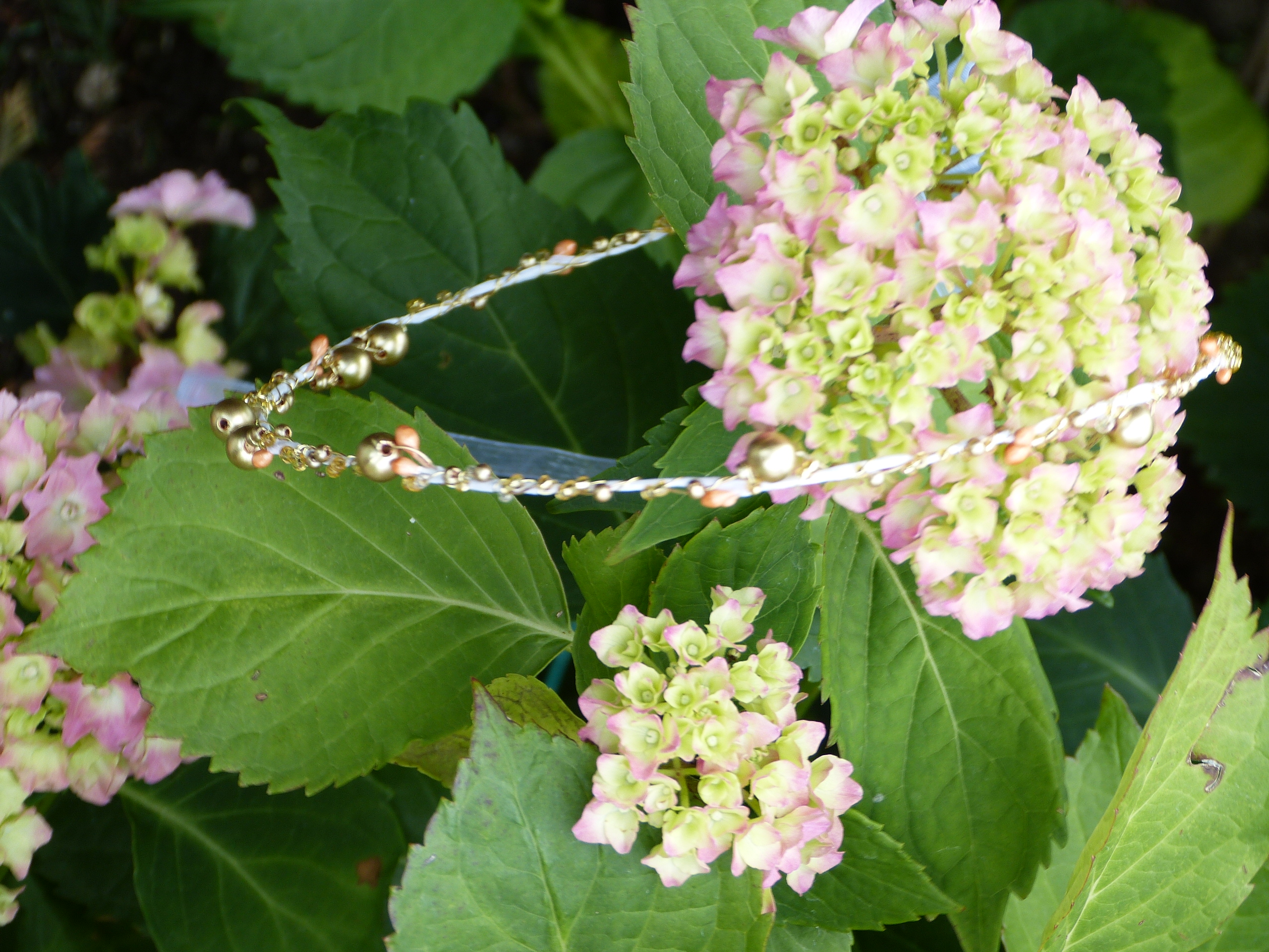 Věneček - Jemnost ve zlaté